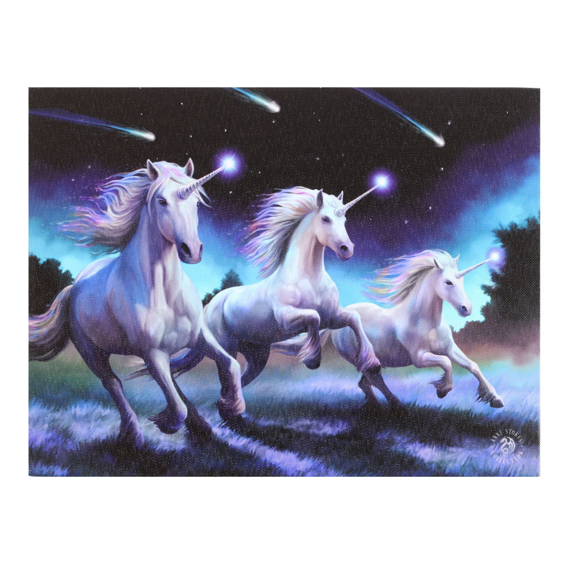View 25x19cm Shooting Stars Canvas Plaque by Anne Stokes information