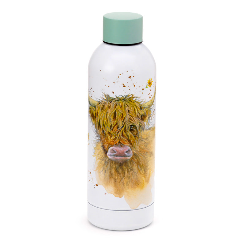View Reusable Stainless Steel Insulated Drinks Bottle 530ml Jan Pashley Highland Coo Cow information