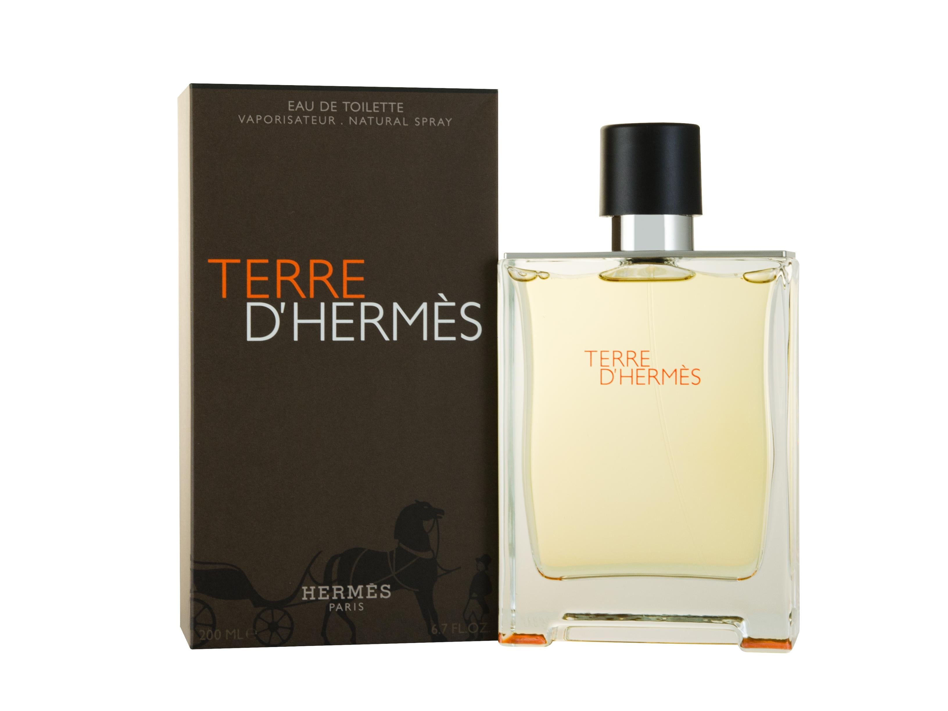 View Hermès Terre dHermès Eau de Toilette 200ml Spray information