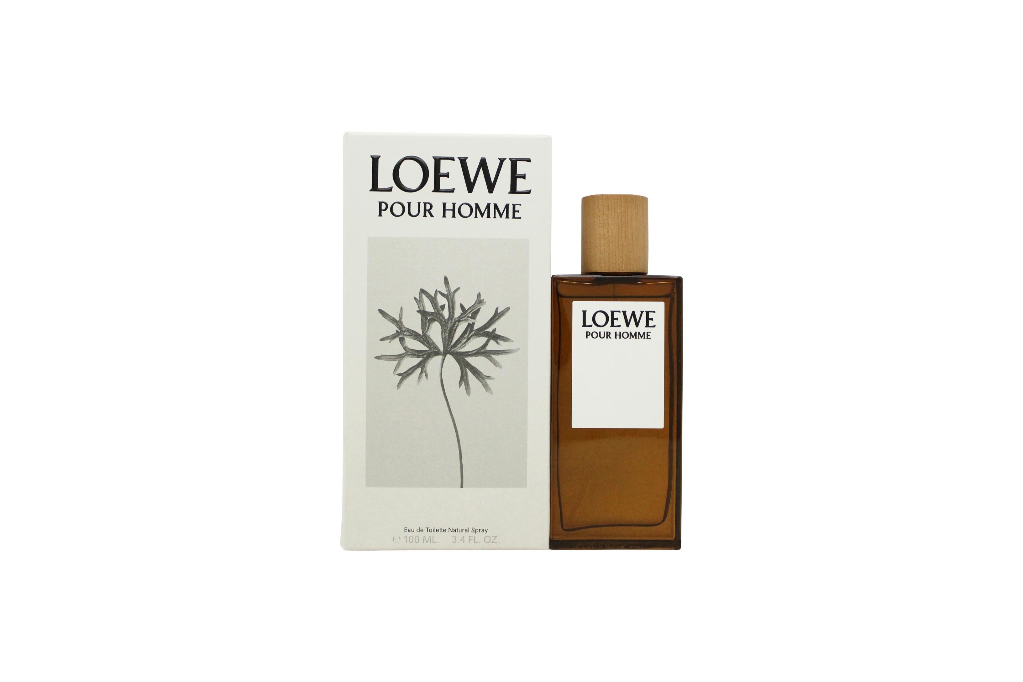 View Loewe Pour Homme Eau de Toilette 100ml Spray information