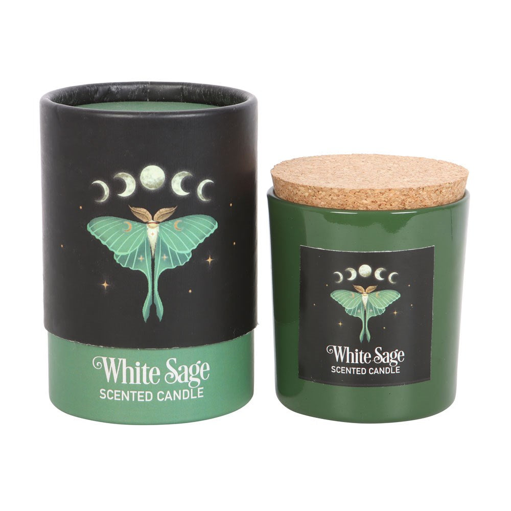 View Luna Moth White Sage Candle information