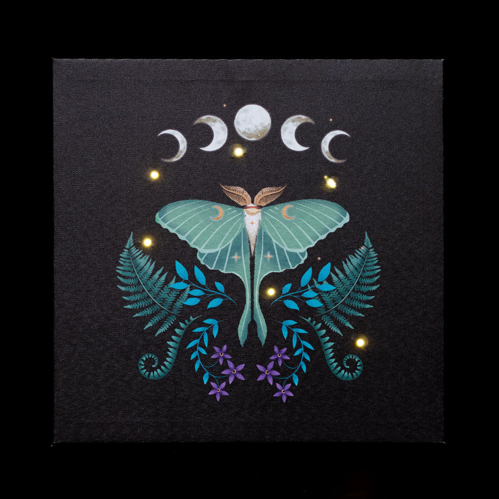 View Luna Moth Light Up Canvas Plaque information