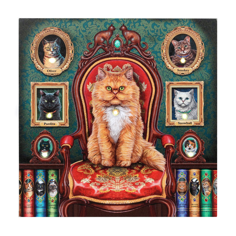 View Mad About Cats Light Up Canvas By Lisa Parker information