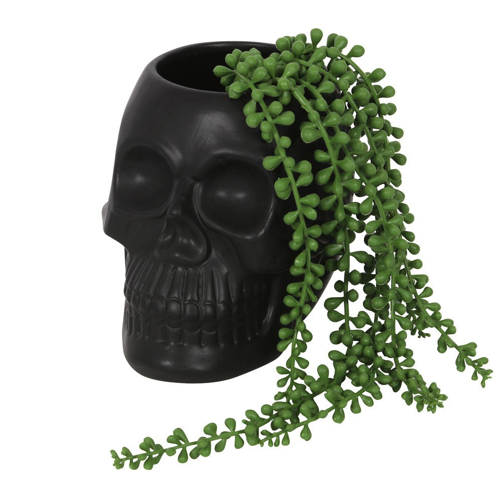 View Black Skull Plant Pot information