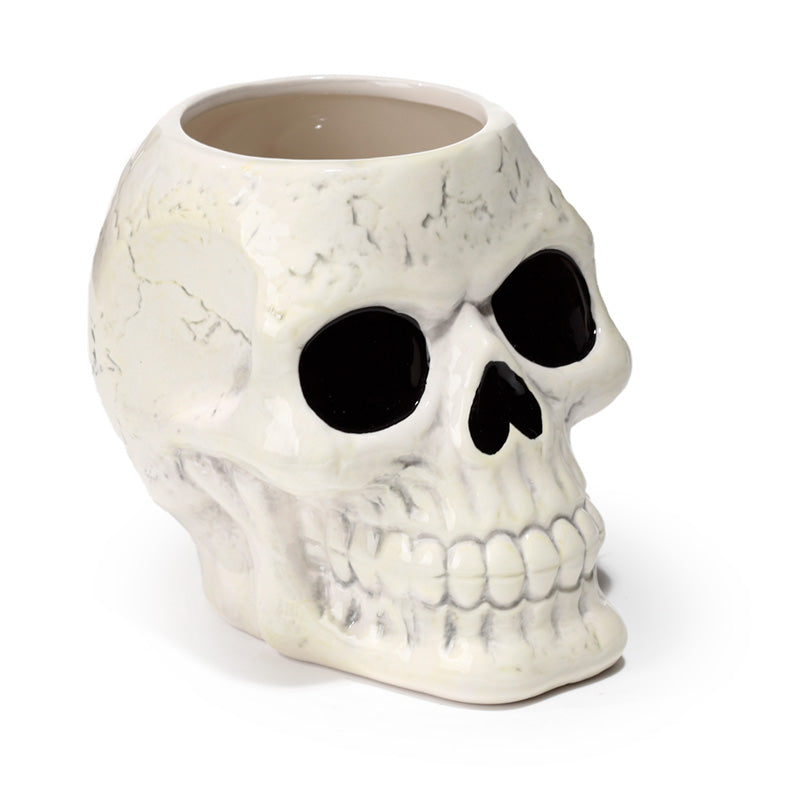View Shaped Ceramic Garden PlanterPlant Pot Ancient Skull information