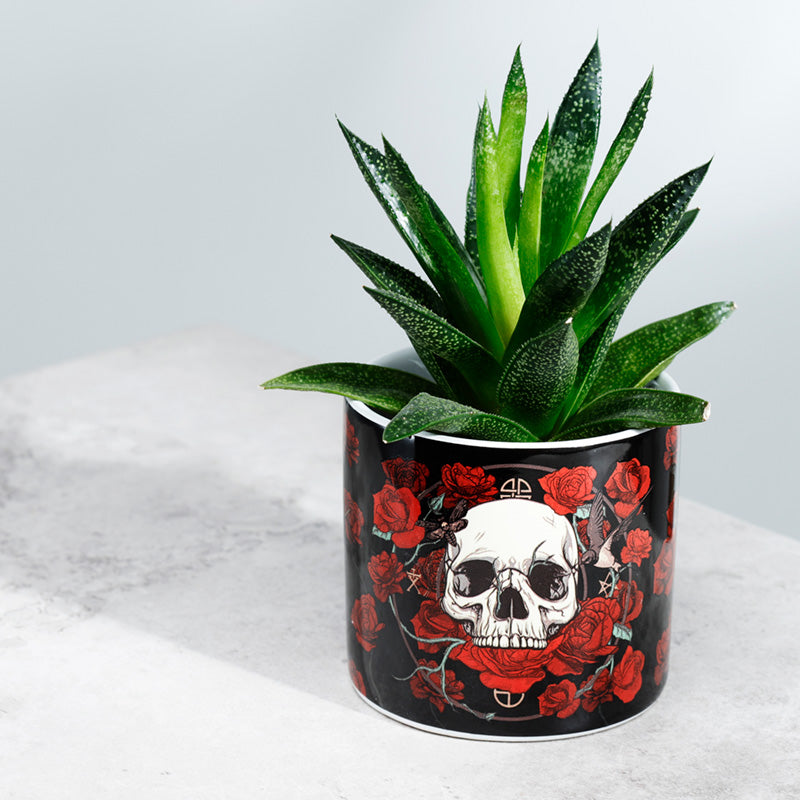 View Skulls Roses Ceramic Indoor Plant Pot Small information