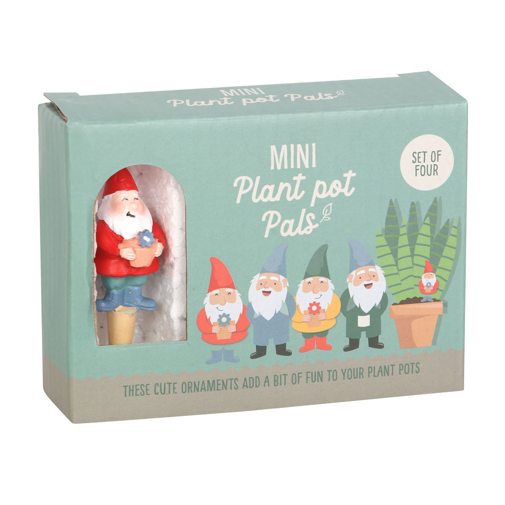 View Set of 4 Mini Gnome Plant Pot Pals information
