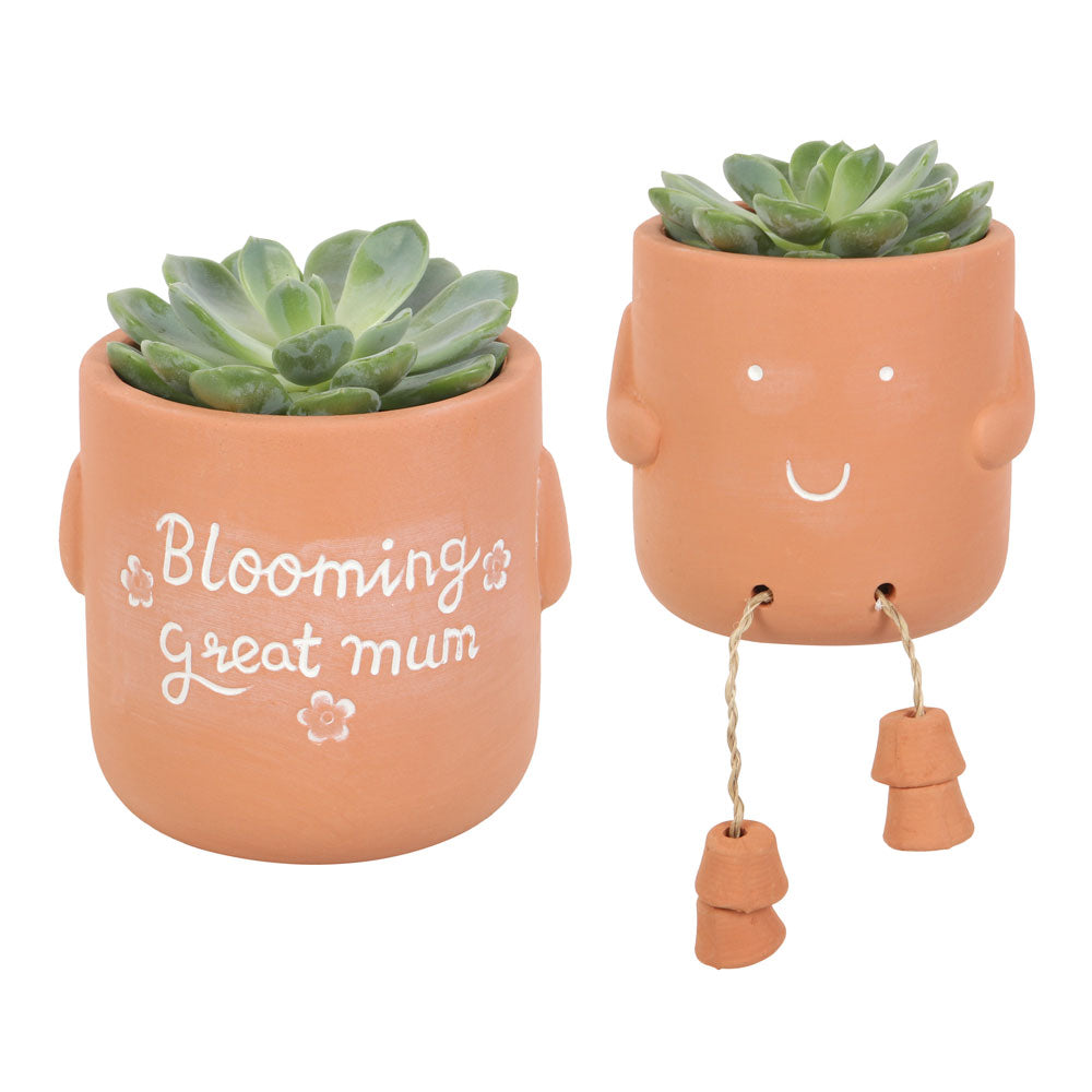 View Blooming Great Mum Sitting Plant Pot Pal information
