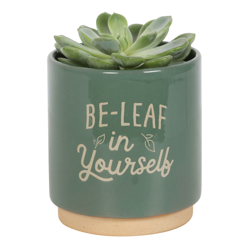 View Green BeLeaf in Yourself Plant Pot information