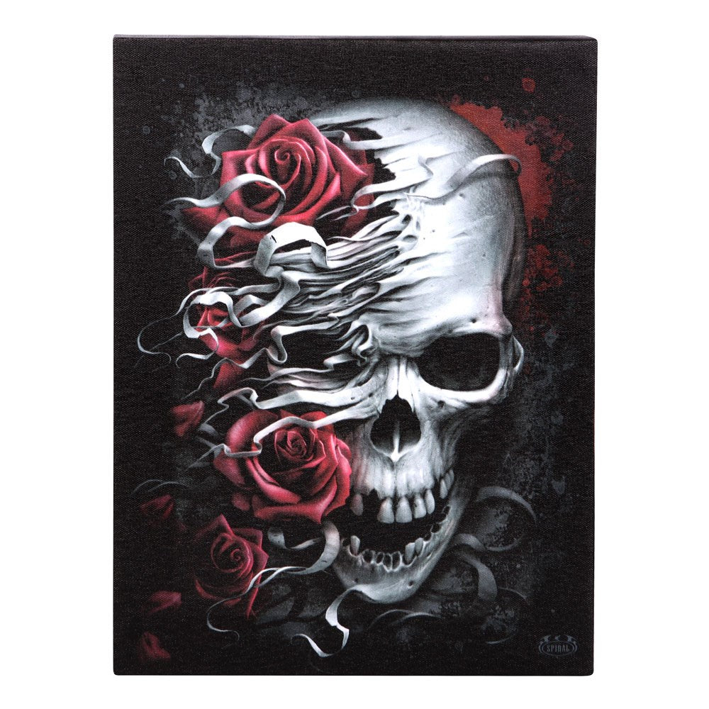 View 19x25cm Skulls n Roses Canvas Plaque by Spiral Direct information