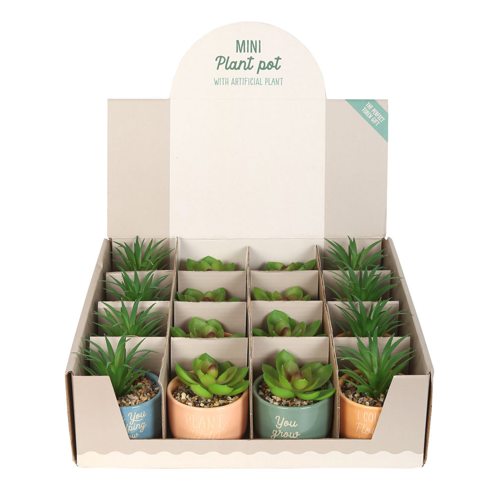 View Set of 16 Mini Plant Pots with Artificial Plant information