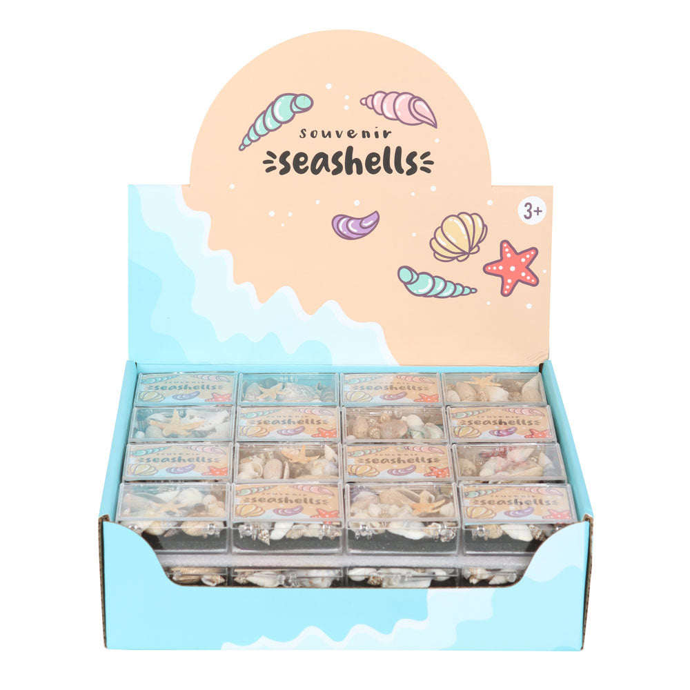 View Set of 48 Souvenir Sea Shell Boxes information