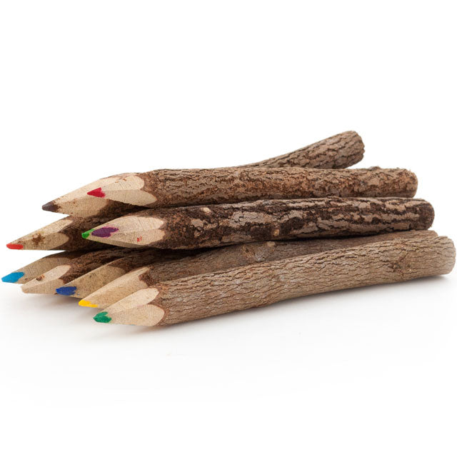 View Set of 10 Twig Pencils information