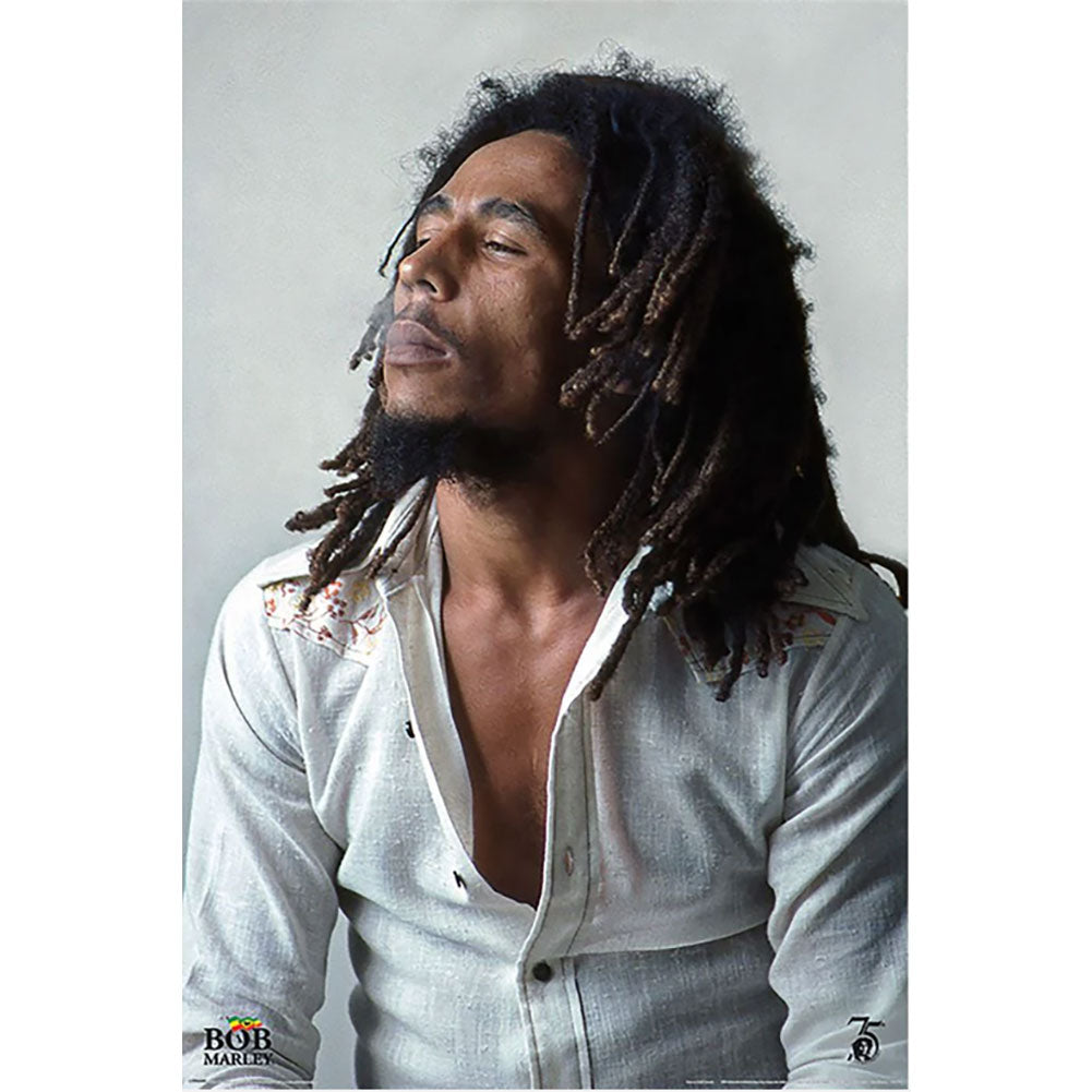 View Bob Marley Poster Redemption 261 information