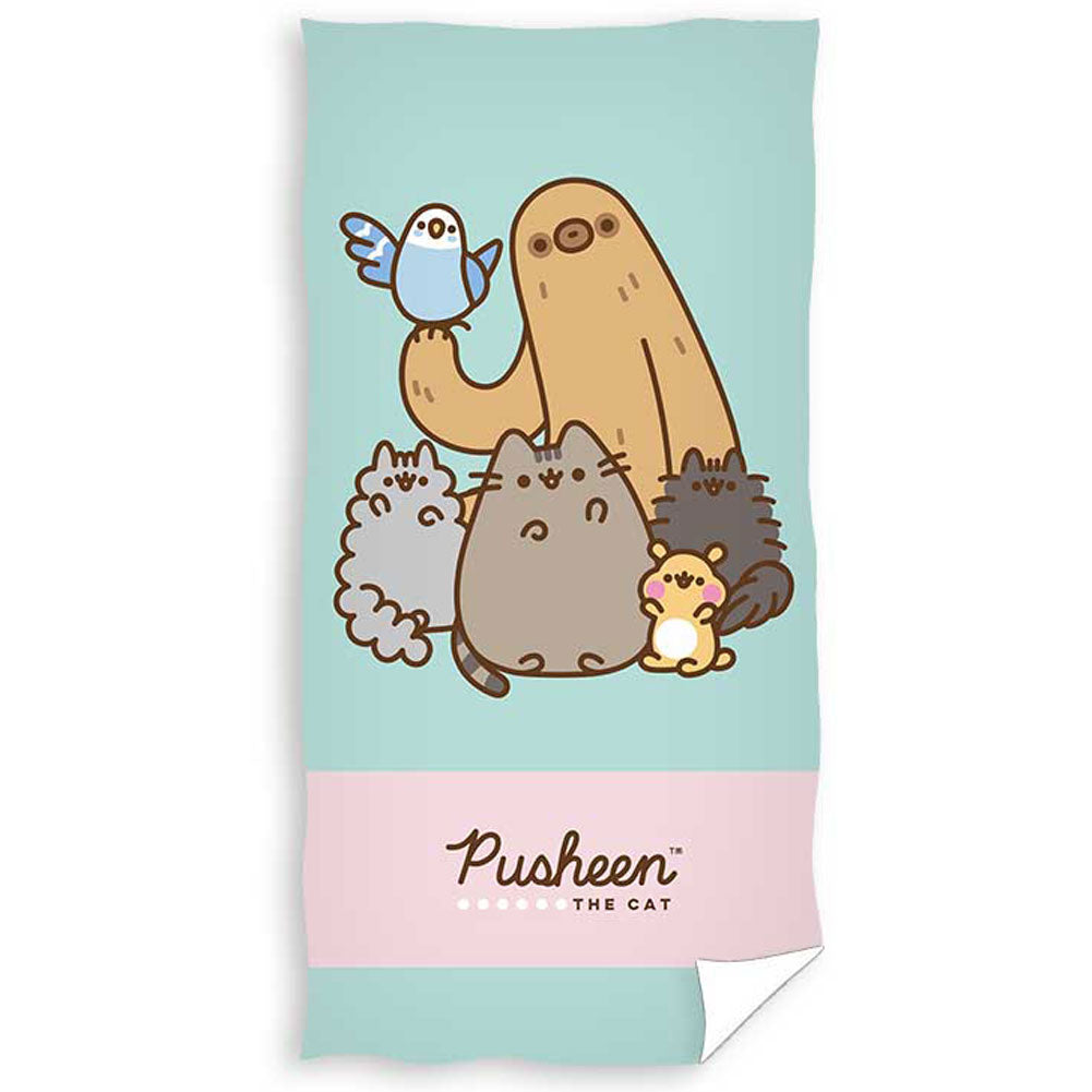 View Pusheen Towel information