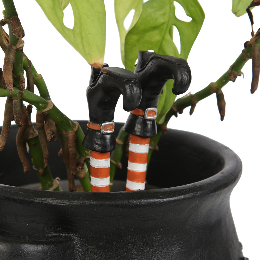 View Set of 2 Witch Leg Plant Pot Ornaments information