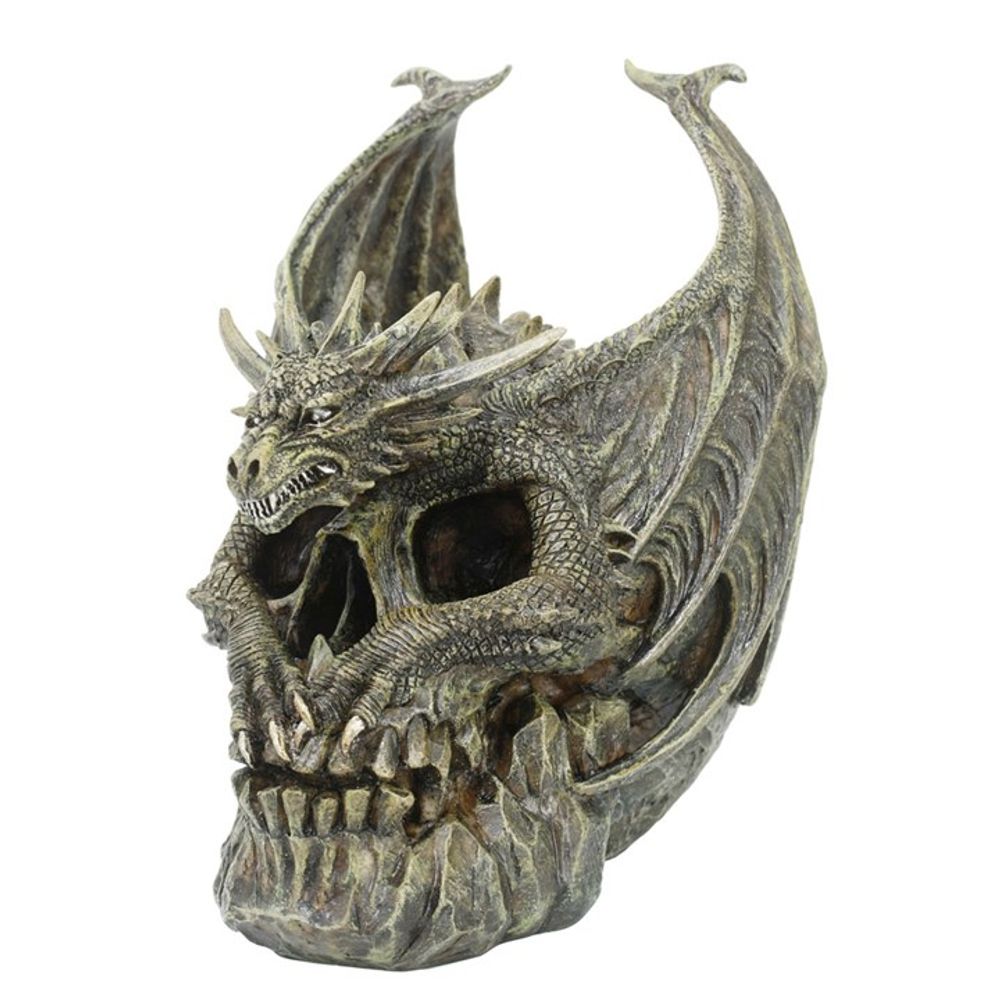 View Draco Dragon Skull Ornament by Spiral Direct information