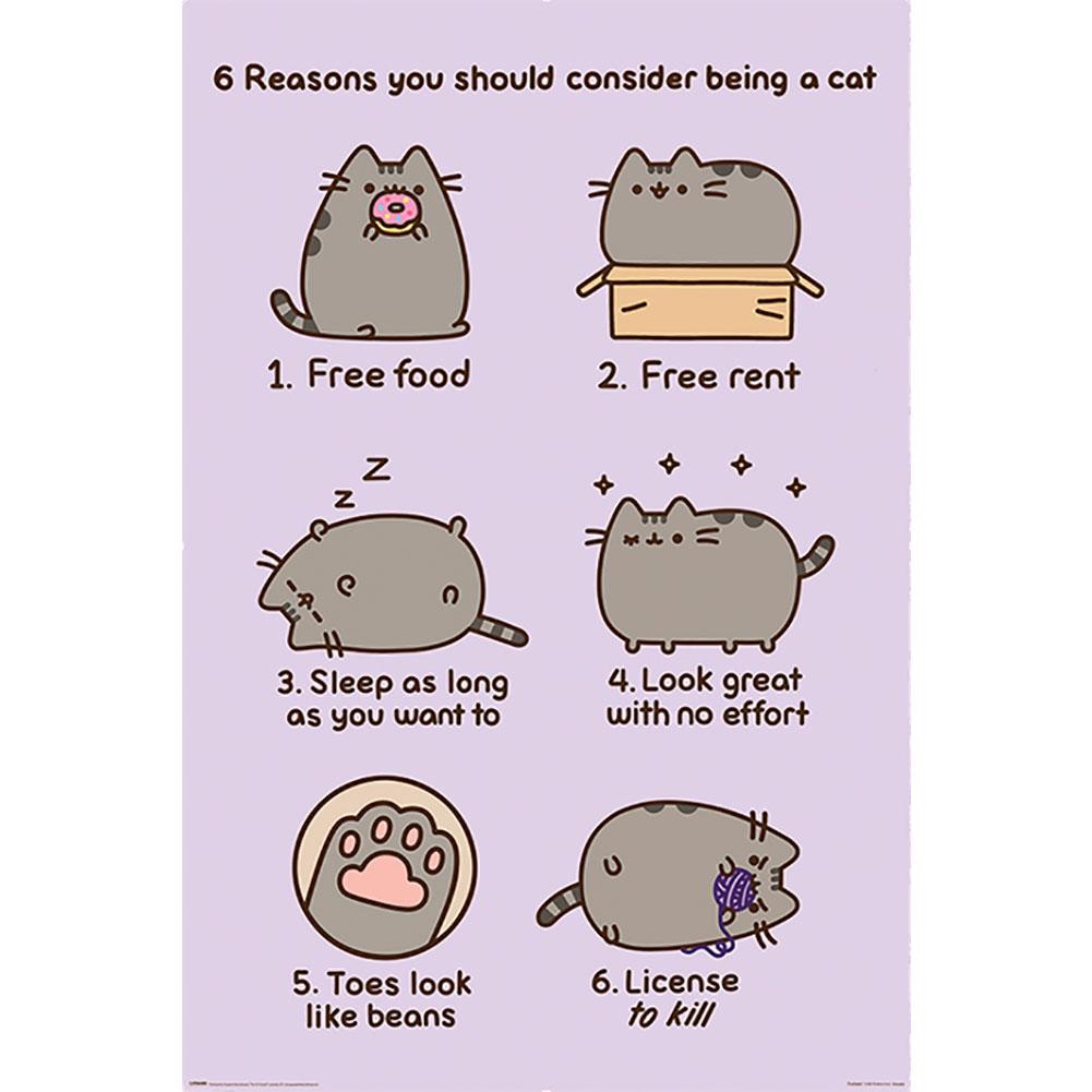 View Pusheen Poster Reasons 157 information