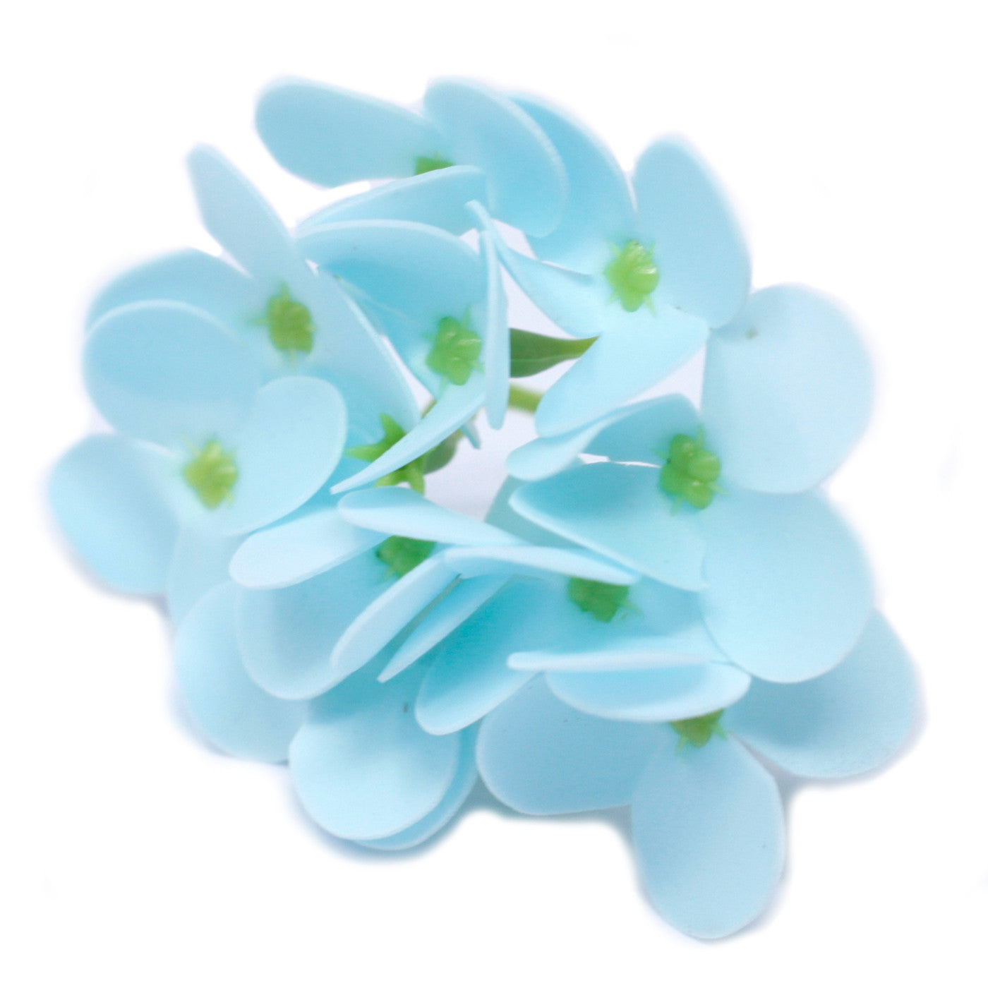 View Craft Soap Flowers Hyacinth Bean Baby Blue x 10 pcs information