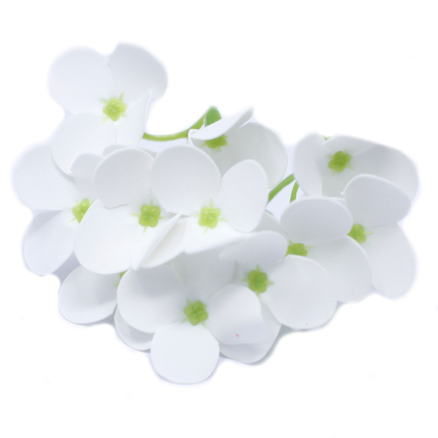 View Craft Soap Flowers Hyacinth Bean White x 10 pcs information