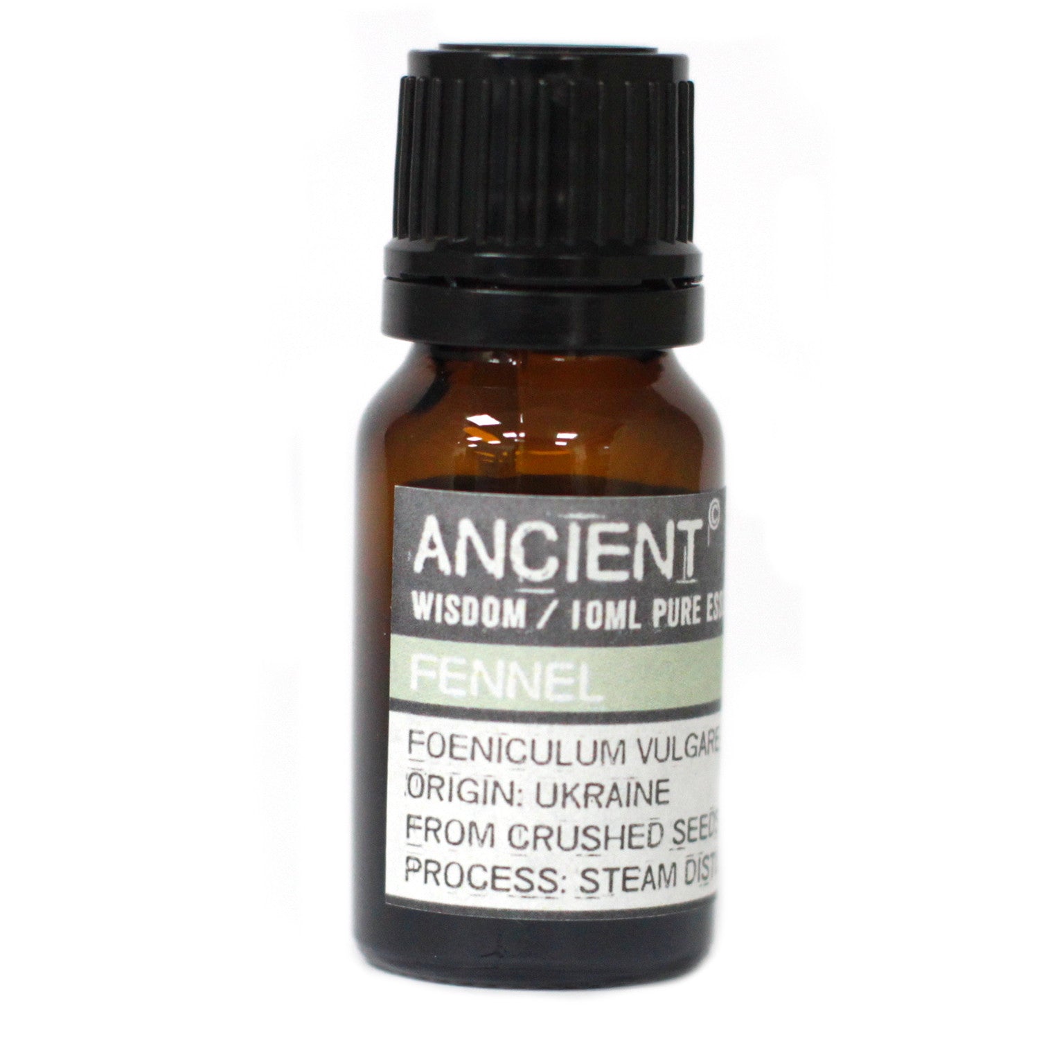 View 10 ml Fennel Essential Oil information