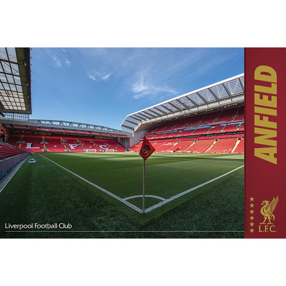 View Liverpool FC Poster Anfield 33 information