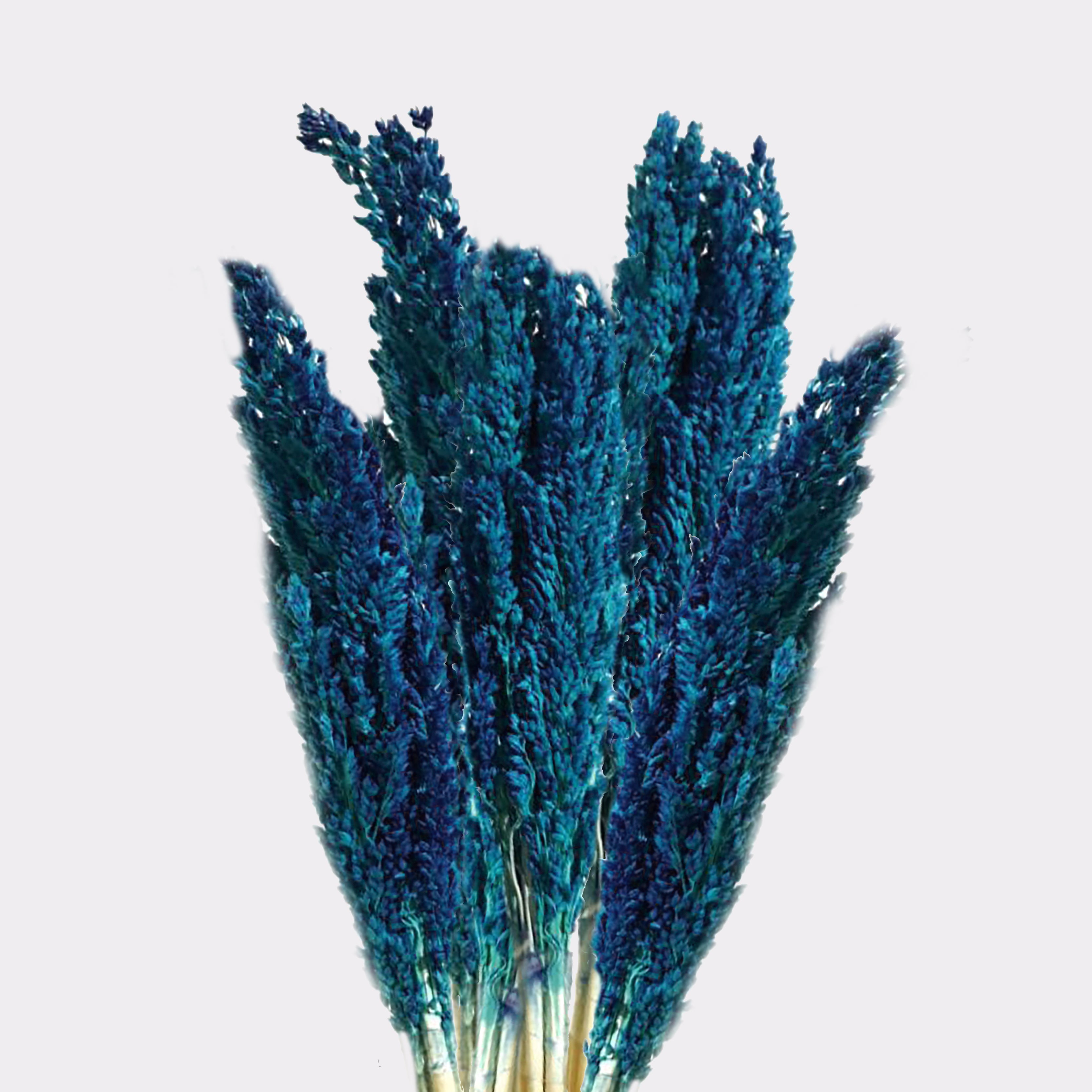 View Cantal Grass Bunch Blue information