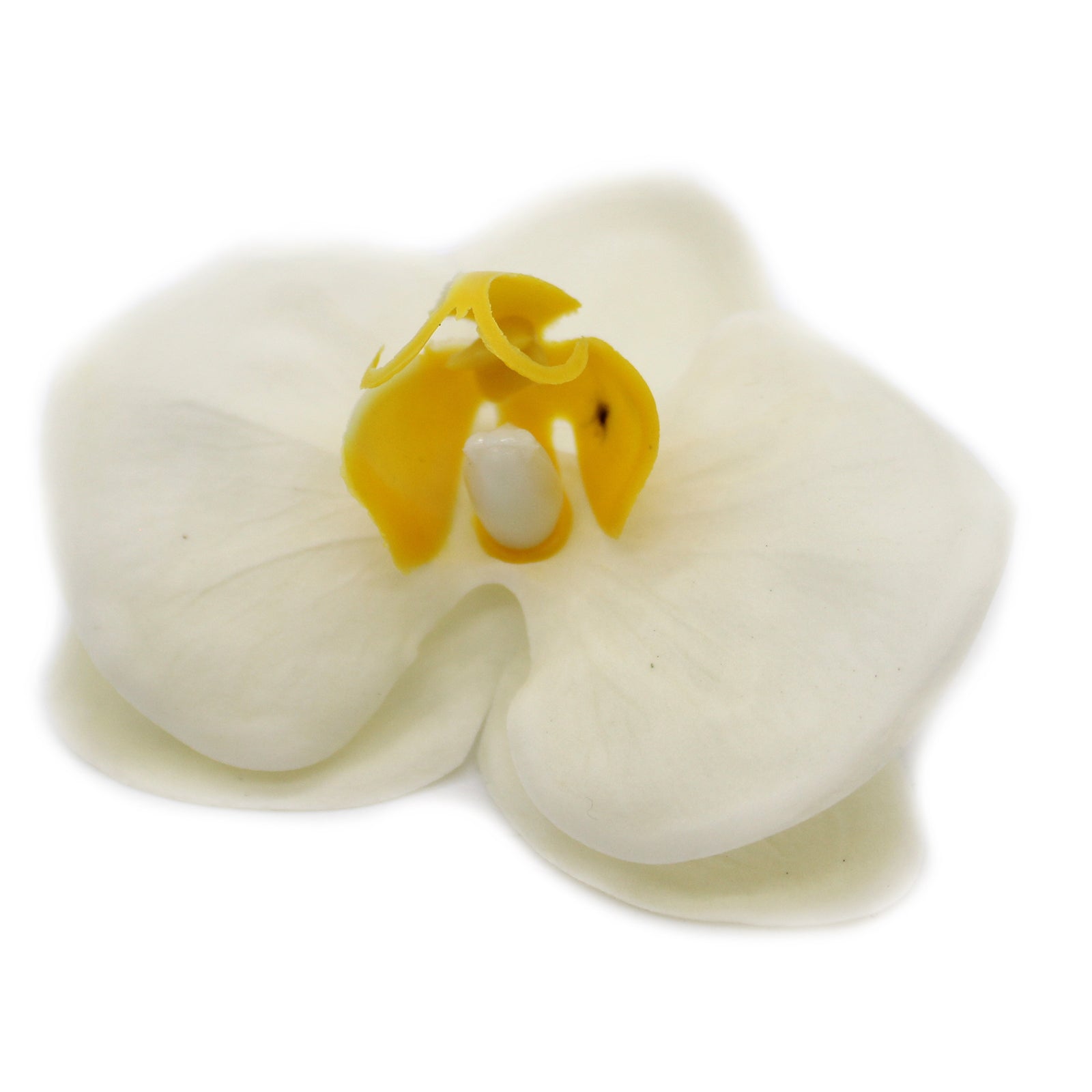 View Craft Soap Flower Paeonia Cream information