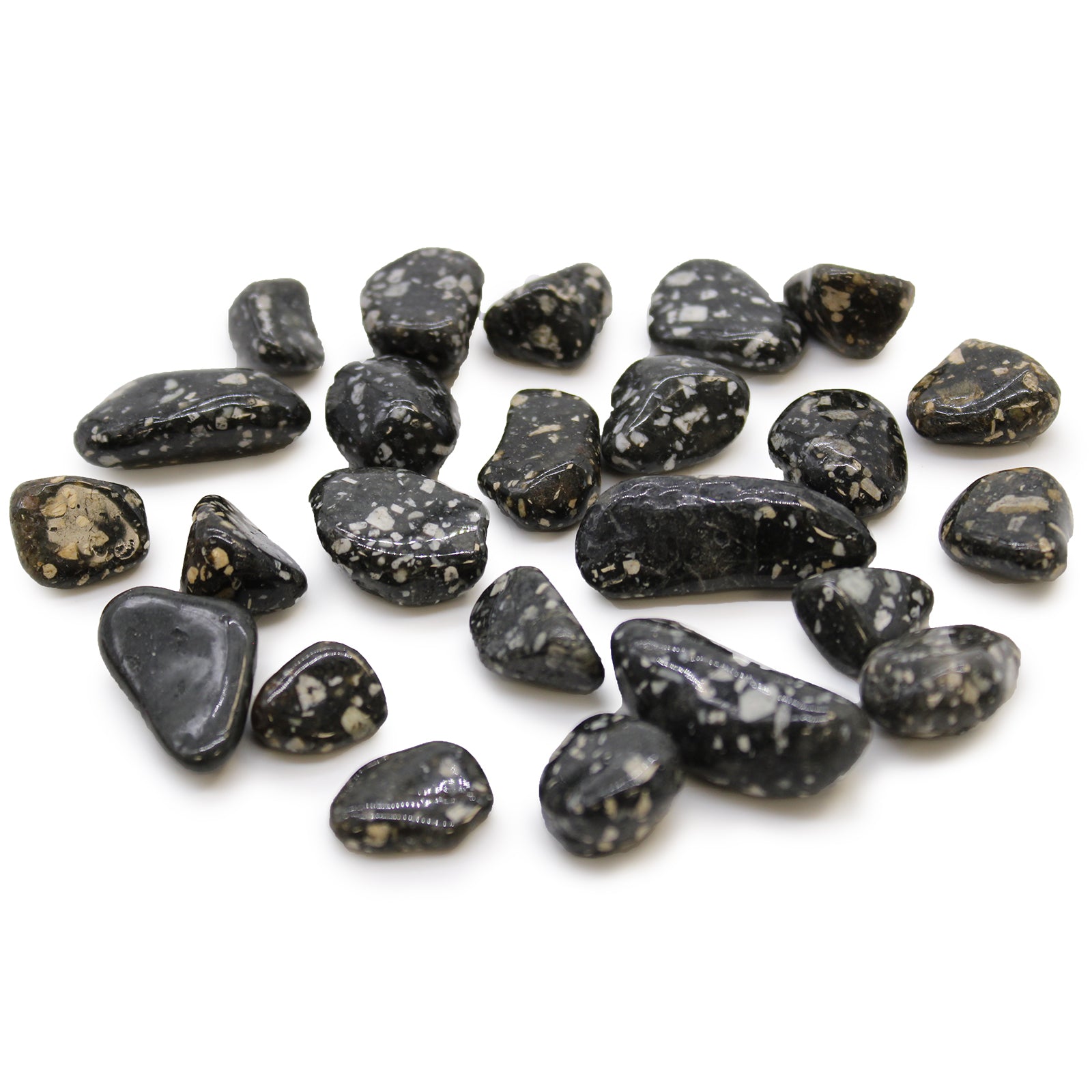 View Small African Tumble Stones Guinea Fowl information