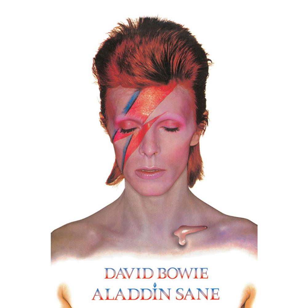 View David Bowie Poster Aladdin Sane 269 information