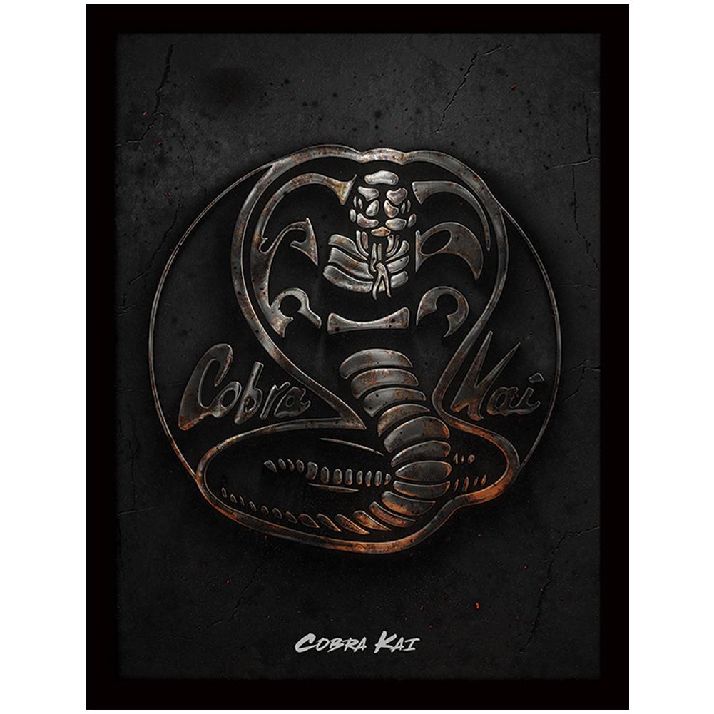 View Cobra Kai Framed Picture 16 x 12 information