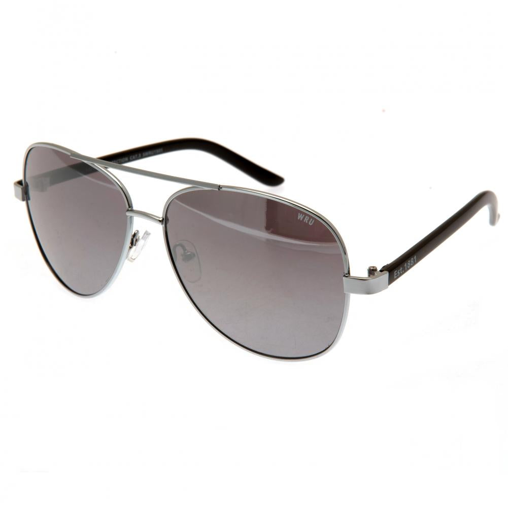 View Wales RU Sunglasses Adult Aviator information