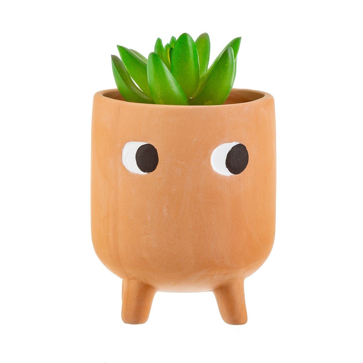 View Little Leggy Terracotta Planter information