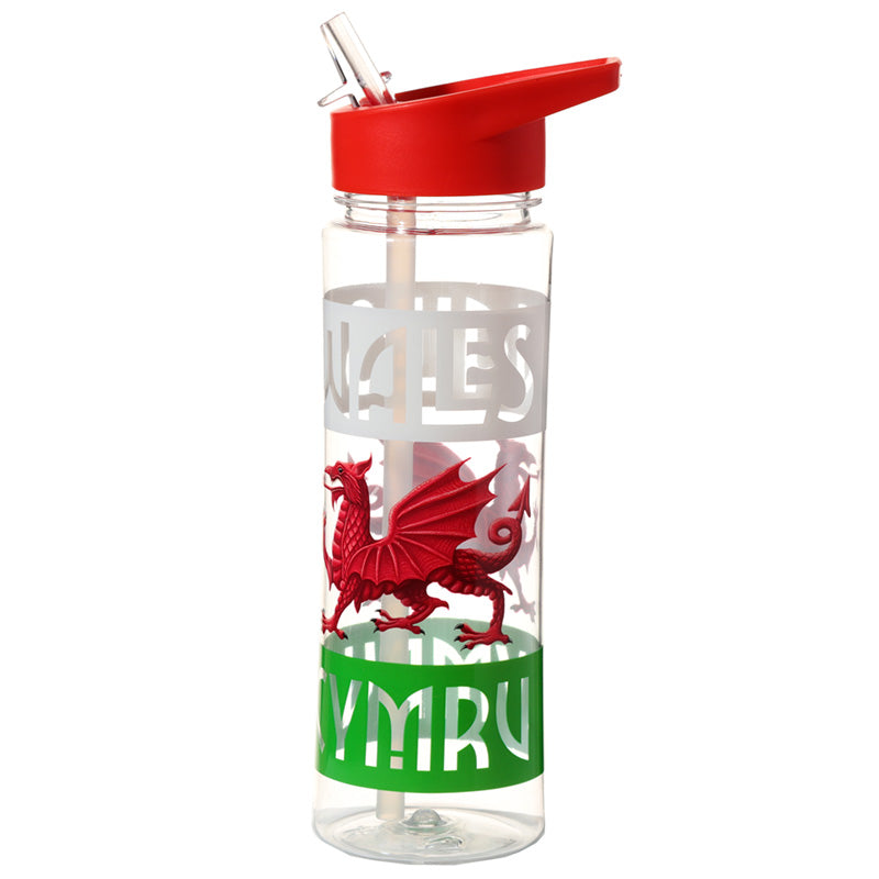 View Reusable Welsh Dragon Wales Cymru 550ml Water Bottle with Flip Straw information