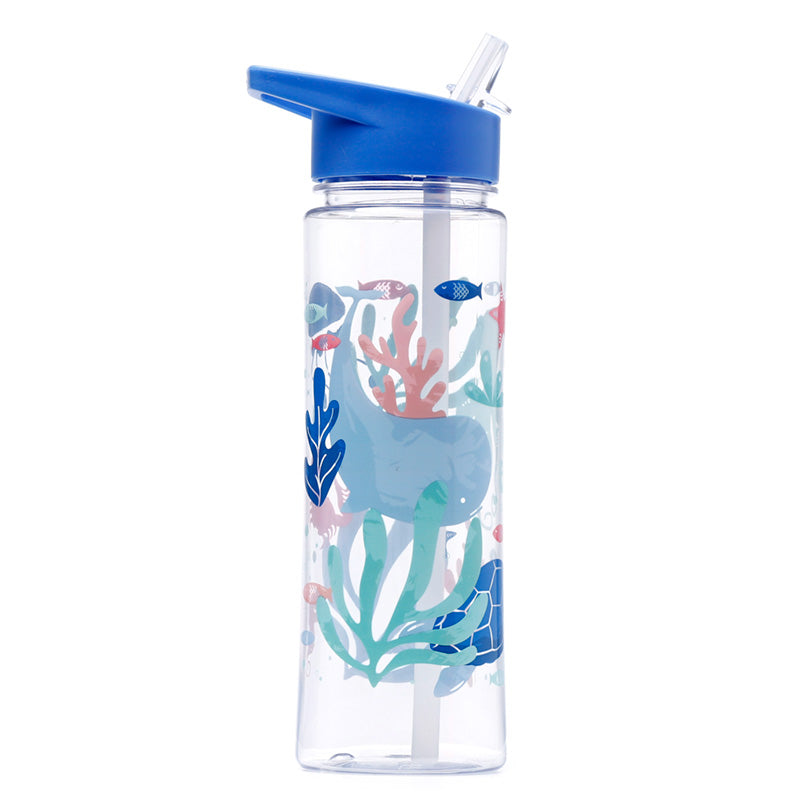 View Reusable Eco Sealife 550ml Water Bottle with Flip Straw information