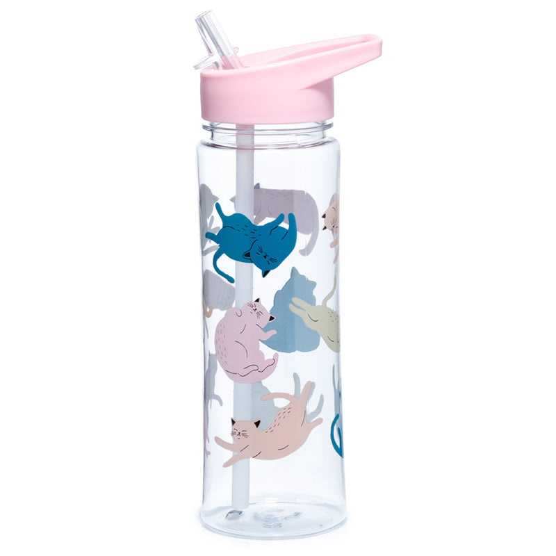 View Reusable Cats Life Shatterproof Ecozen 550ml Water Bottle with Flip Straw information