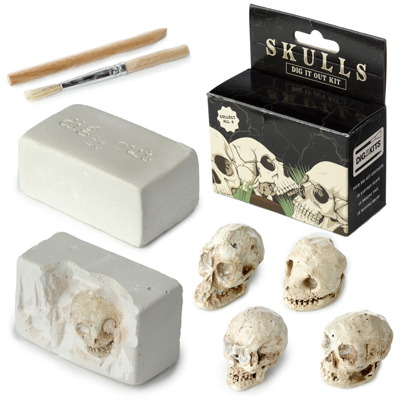 View Fun Excavation Dig it Out Kit Human Skull information