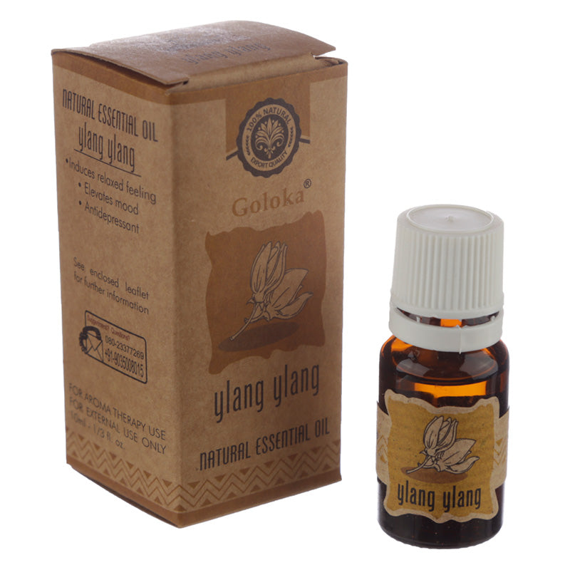 View 12x Goloka Essential Oil 10ml Ylang Ylang information