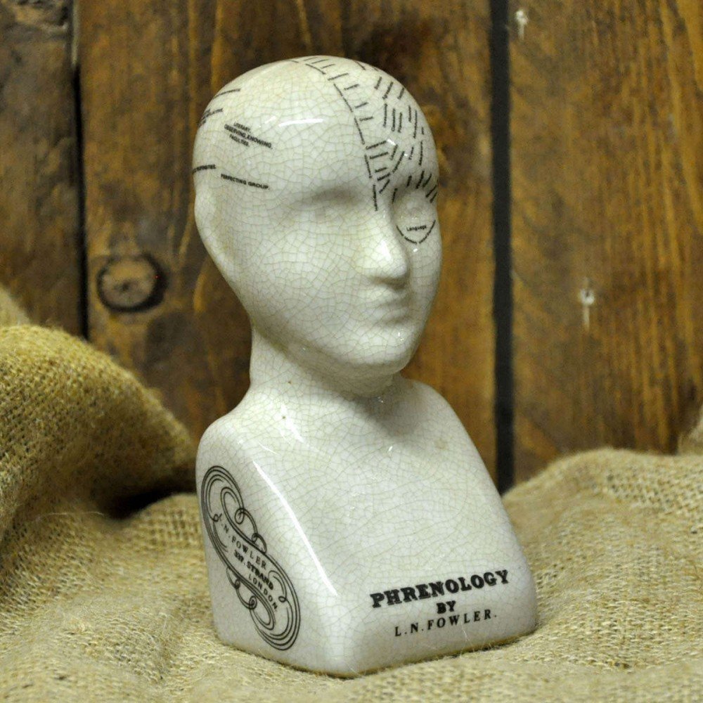 View Ceramic Phrenology Head 17cm information