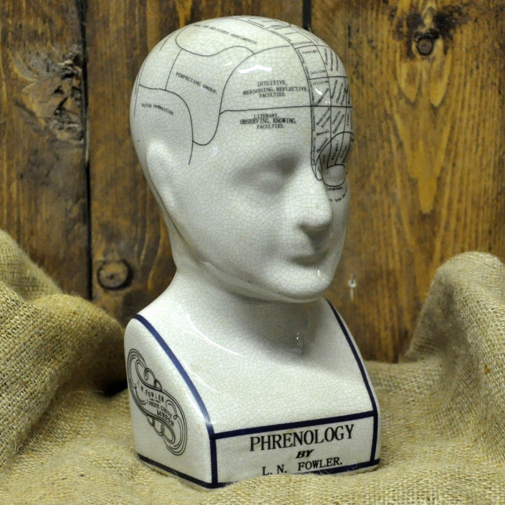 View Ceramic Phrenology Head 20cm information