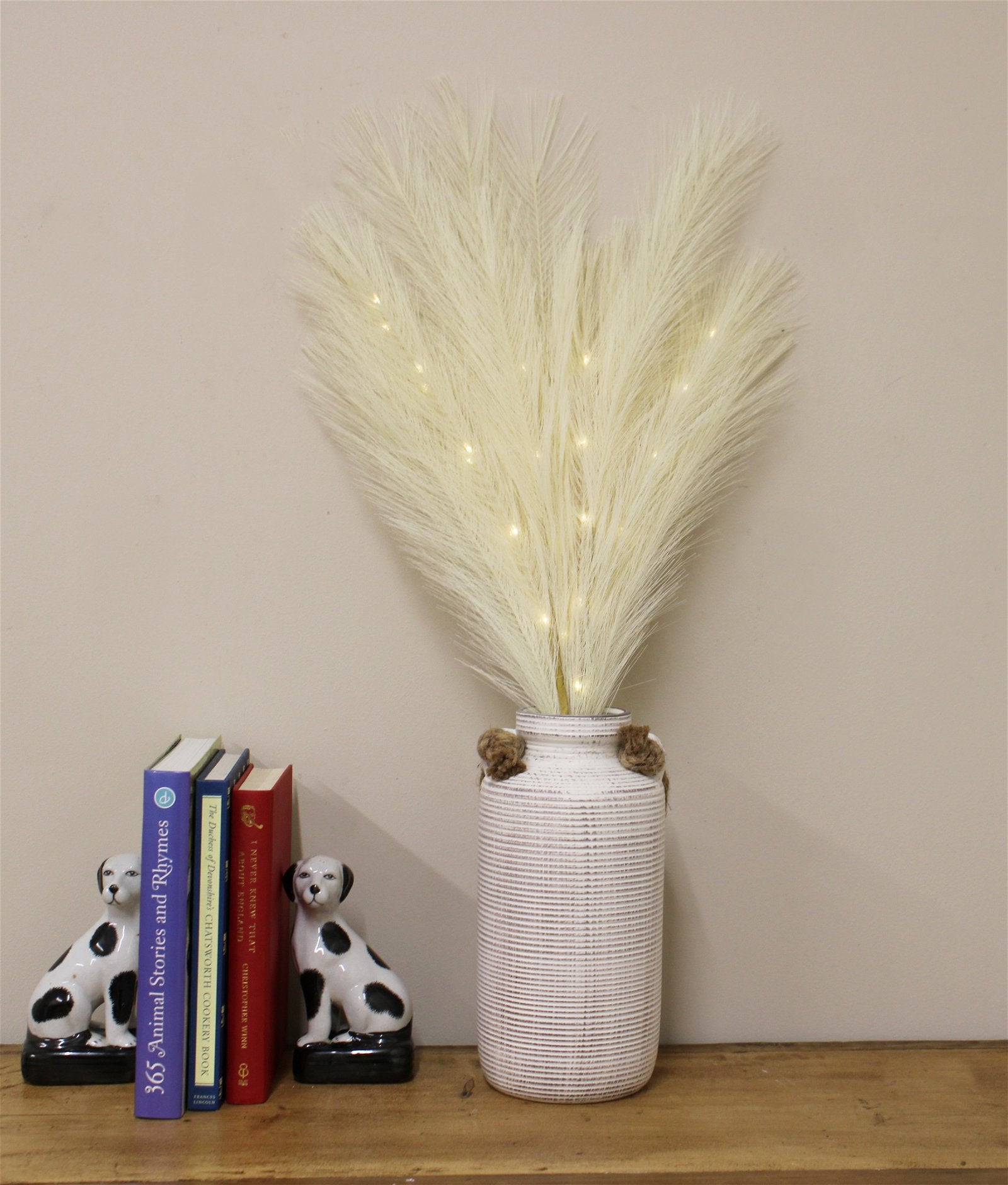 View Set of Five Cream Led Pampas Grass Stems information