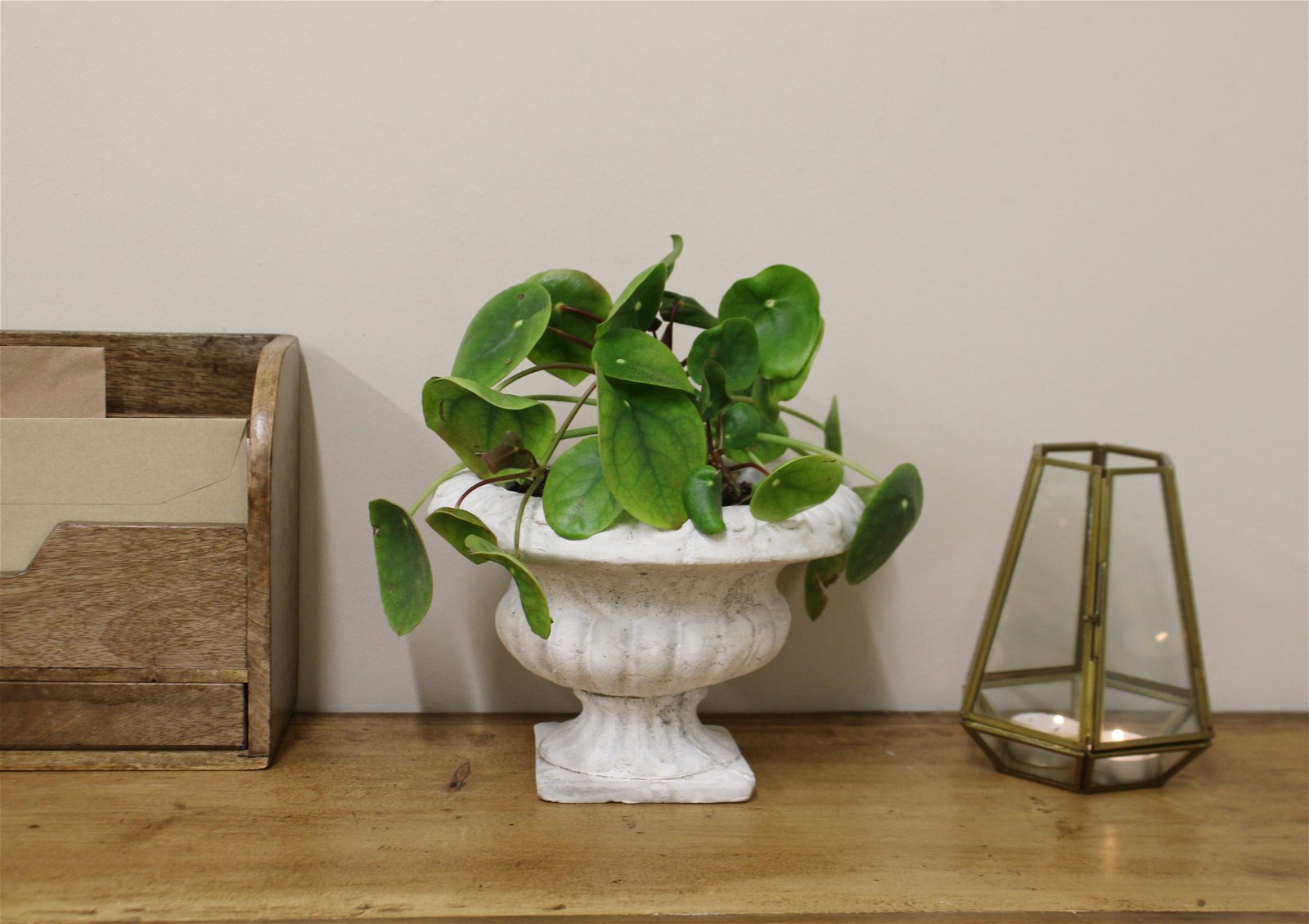 View Classic Low Urn Planter information