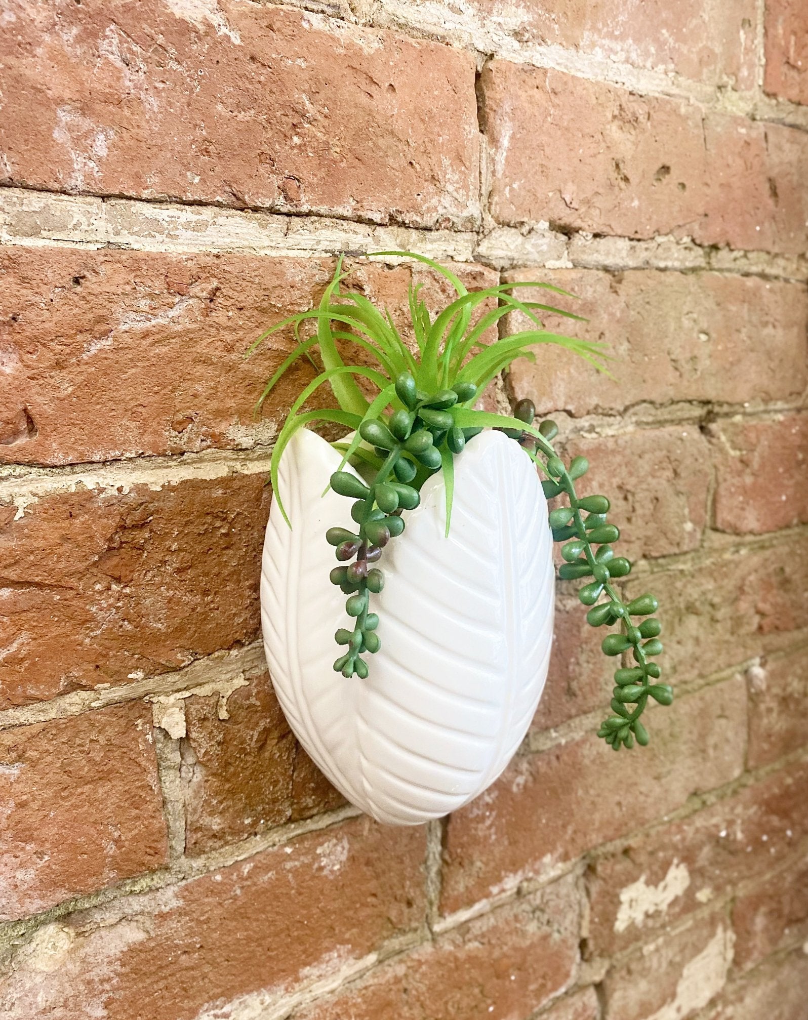 View Faux Succulents in Wall Planter information