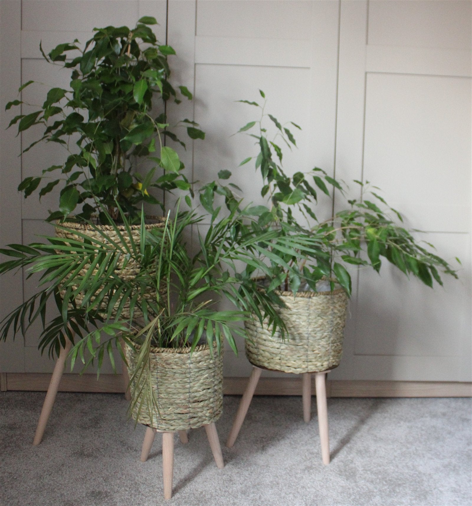 View Set of Three Seagrass Planters On Stands information