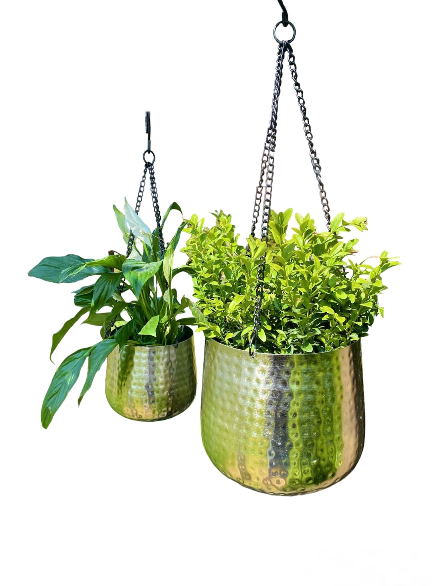 View Set of Two Hanging Hammered Planters information