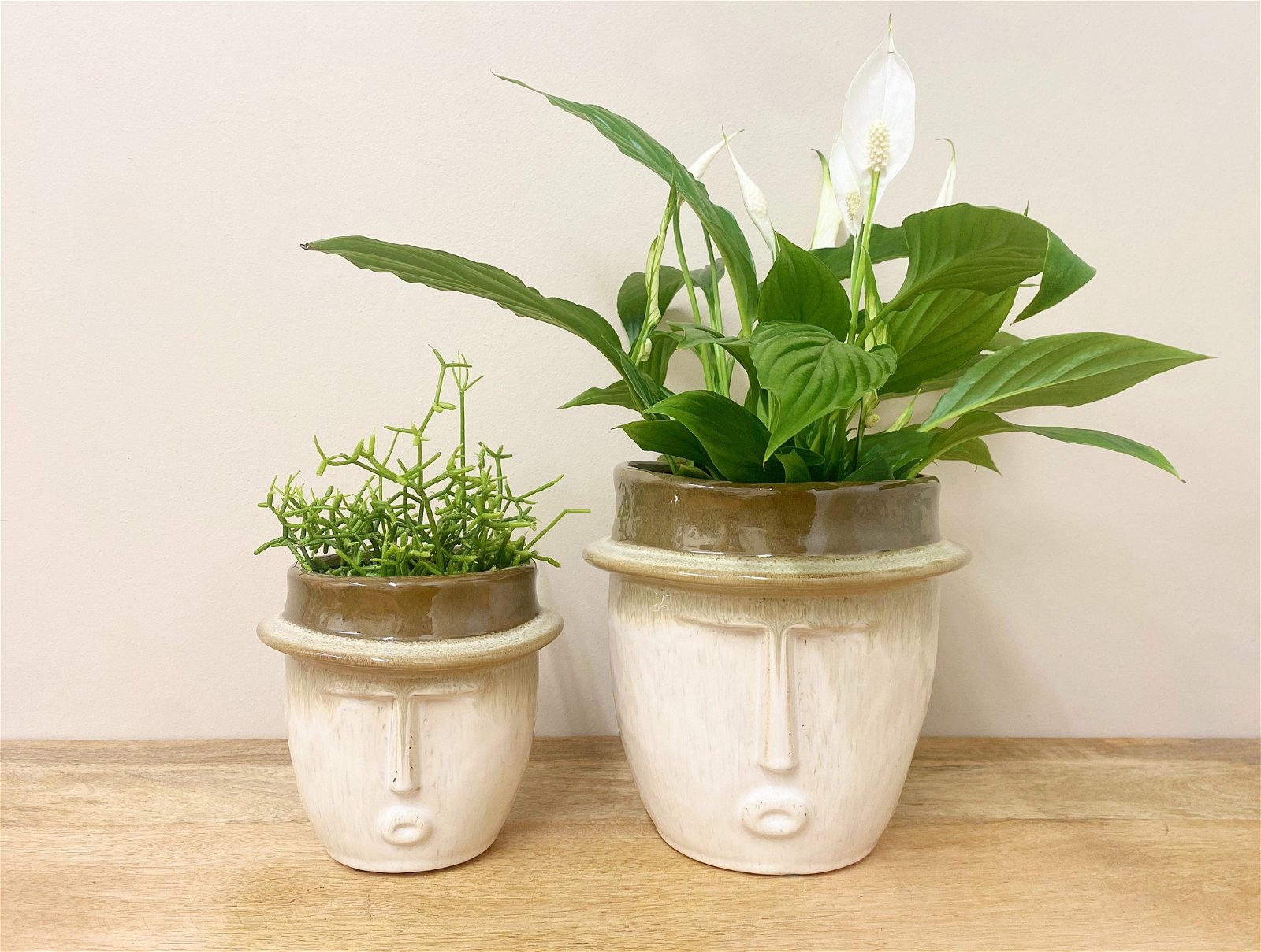 View Set of Two Face Planters information