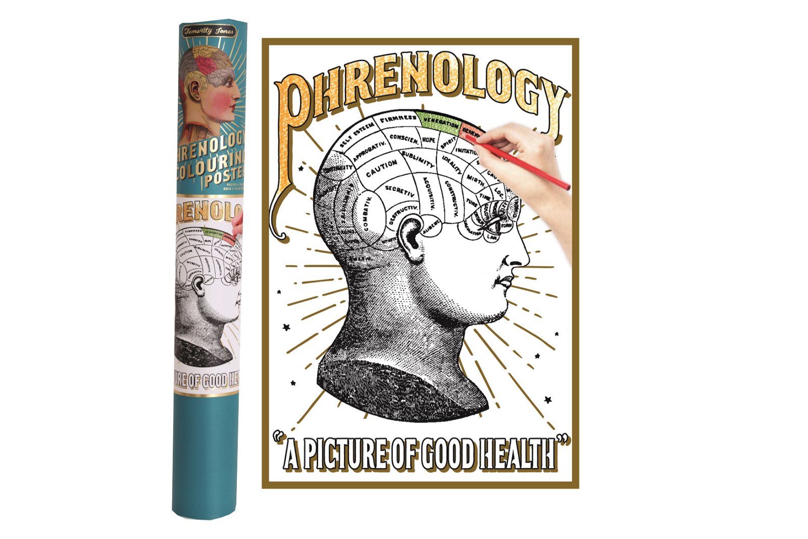 View Phrenology Colouring Poster In Gift Tube information