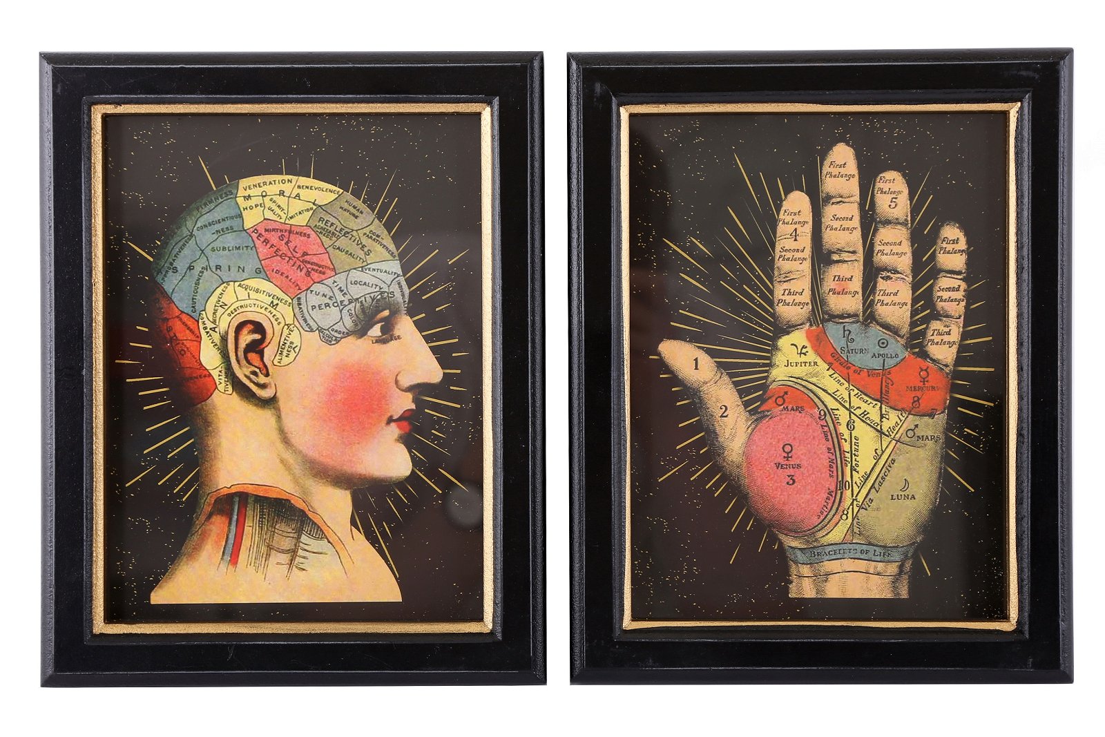 View Set of 2 Phrenology Framed Prints 25cm information