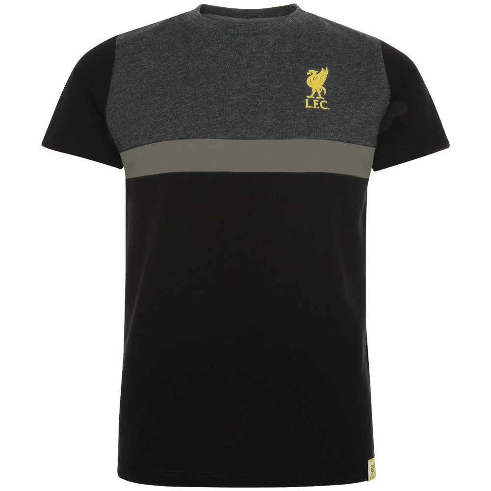 View Liverpool FC Panel T Shirt Junior 56 Yrs information