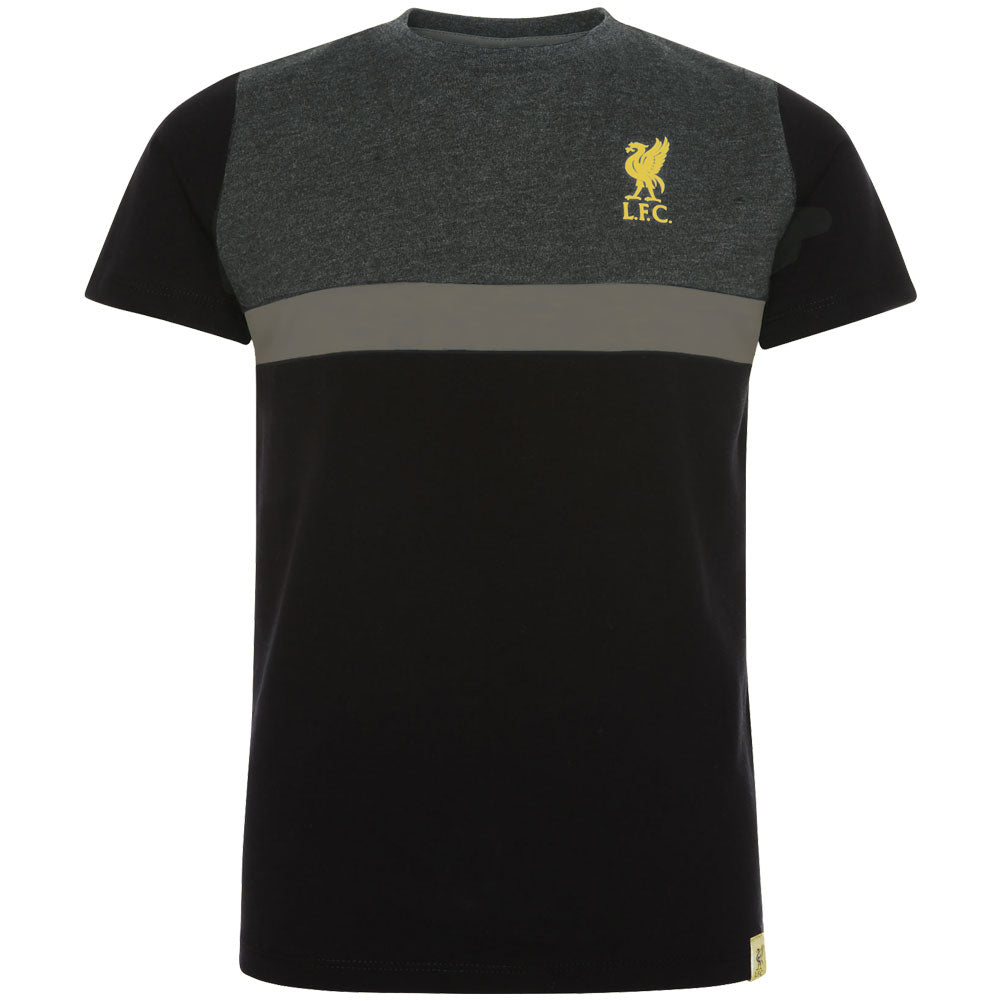 View Liverpool FC Panel T Shirt Junior 78 Yrs information